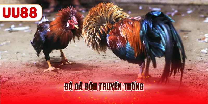 Đá gà đòn truyền thống