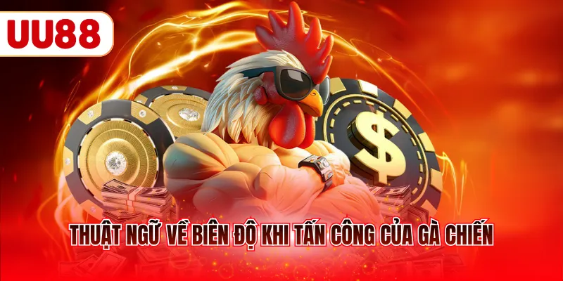 Thuật ngữ về biên độ khi tấn công của gà chiến
